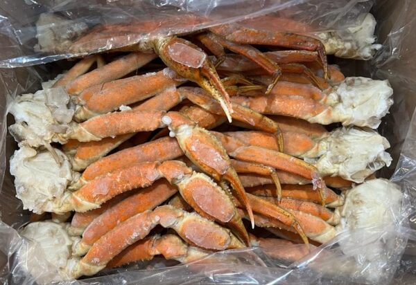 Crabe des neiges XL sauvage de la Gaspésie (10lbs)