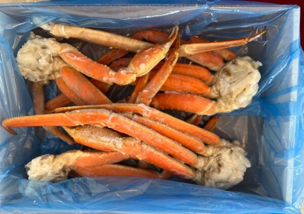 Crabe des neiges XL sauvage de la Gaspésie (3.2lbs)