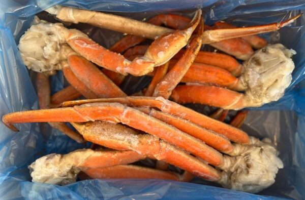 Crabe des neiges XL sauvage de la Gaspésie (3.2lbs)